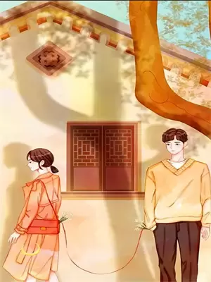 九转乾坤炉介绍