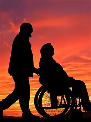 蝴蝶终将死是什么意思