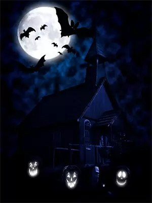 人在盗墓,开局融合九头蛇柏免费阅读