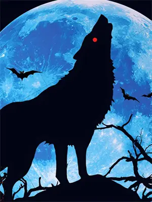 长夜慢慢亦漫漫是什么意思