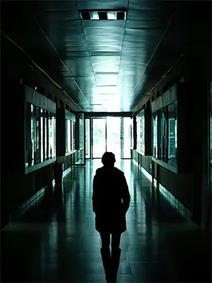 国际学校老师视频